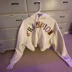 Champion cropped hoodie